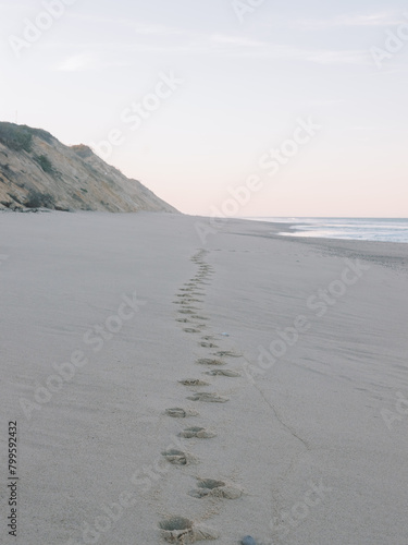 We Leave Our Footprints in the Sand