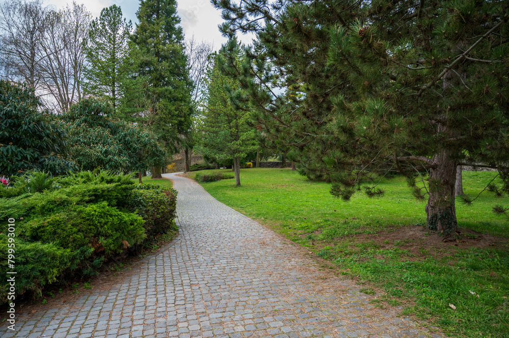 Pavement walkway in park with trees.