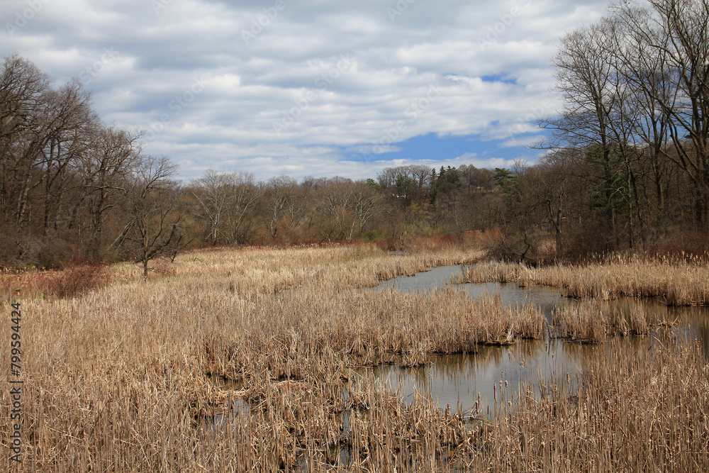 Early spring landscape with river in forest