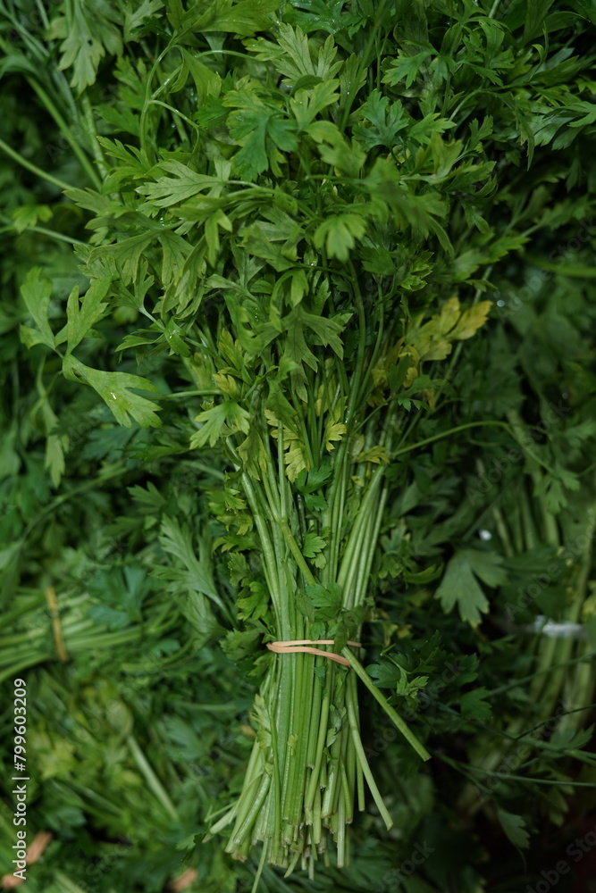 Obraz premium Green Parsley and Vegetables from Sacolão market