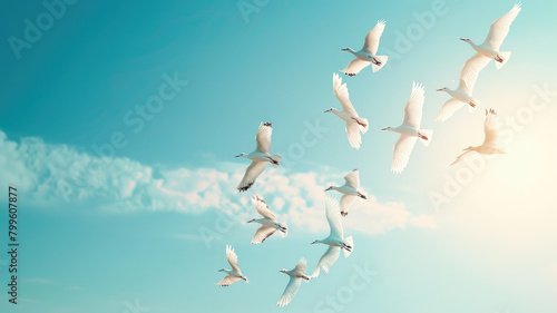 Flock of birds flying under blue sky with clouds