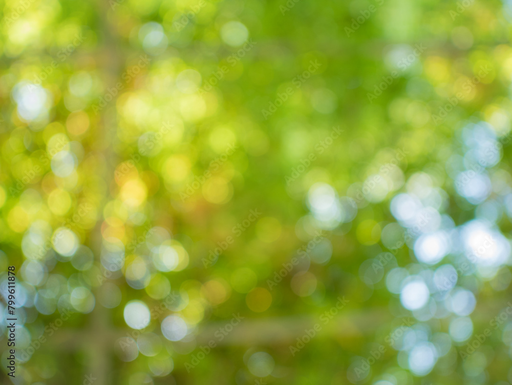 Obraz premium Green bokeh in the texture background.