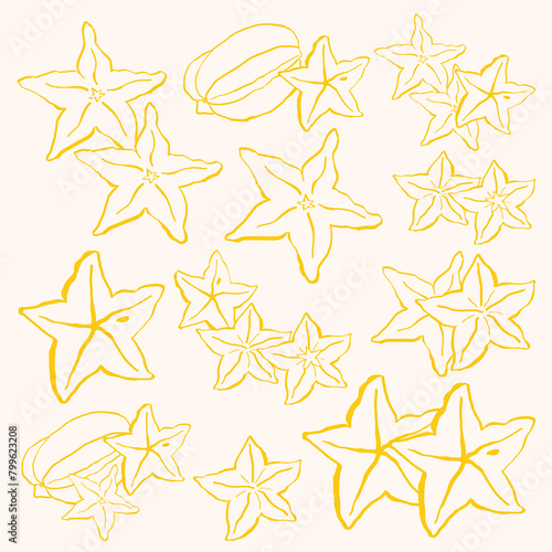 Starfruit Outline Style.eps