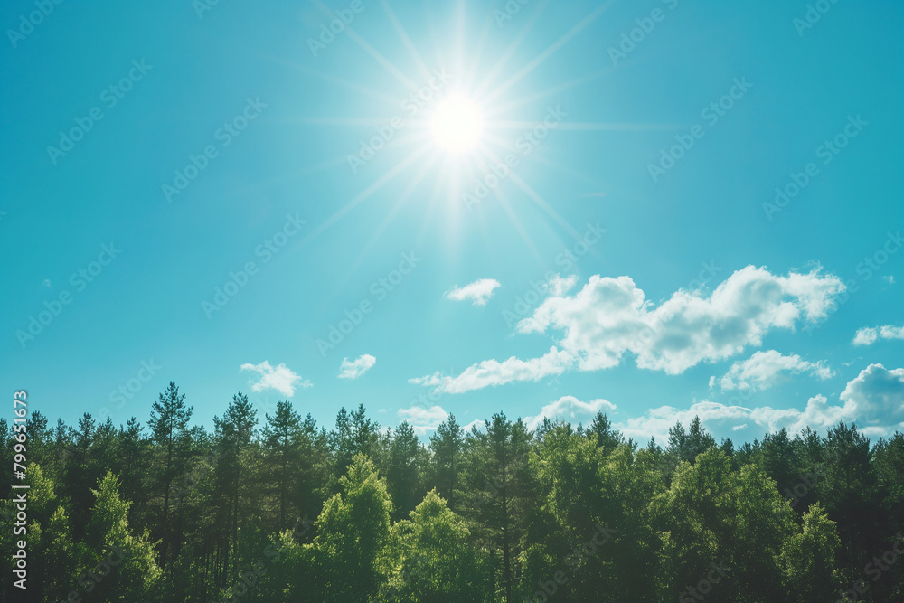 Obraz premium landscape view over forest with bright sun in a clear blue sky, tall green trees, photorealistic // ai-generated 