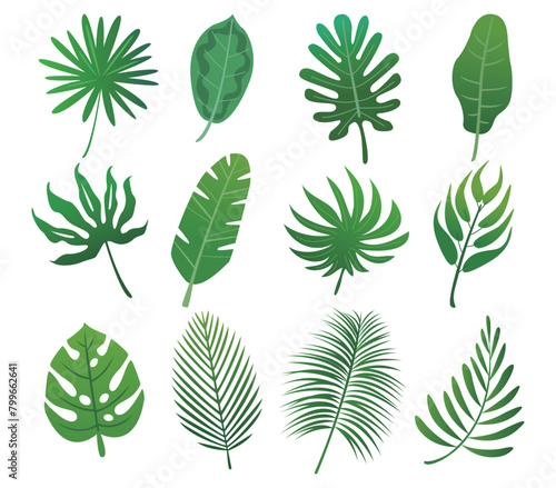 green tropical leaf pattern