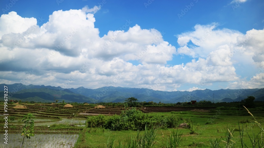 Rice fields at the foot of the mountain Photo