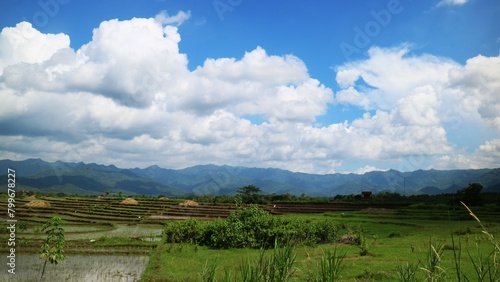 Rice fields at the foot of the mountain Photo
