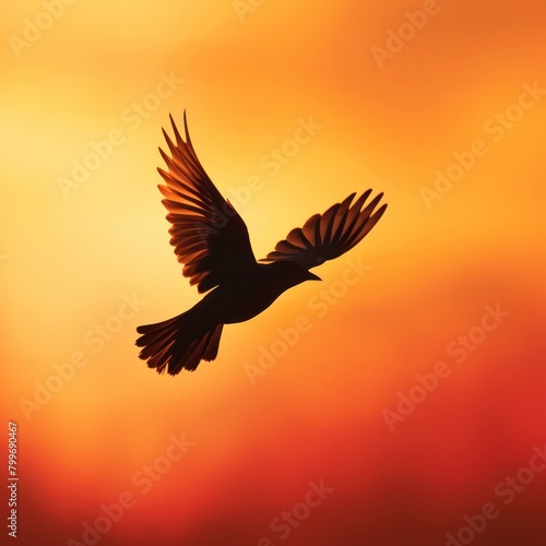 The silhouette of a bird in flight is captured against the vibrant orange backdrop of a setting sun, symbolizing freedom and grace.