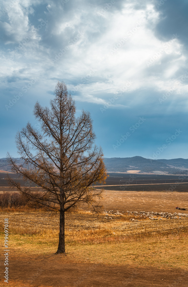 Autumn natural scenery of Aershan in Hulunbuir, Inner Mongolia, China Autumn natural scenery of Aershan in Hulunbuir, Inner Mongolia, China
