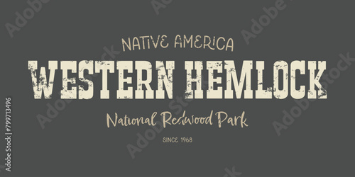 Native America Western hemlock. Artwork design. photo