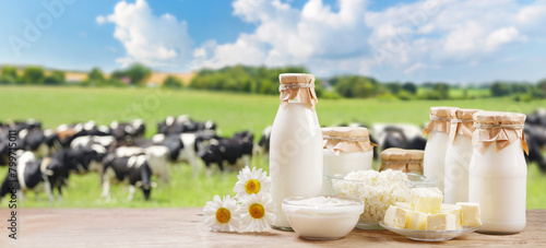 Dairy products. Bottle of milk, cottage cheese, yogurt, butter on a wooden table on meadow with grazing cows background