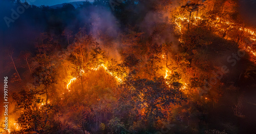 Bushfires in tropical forest release carbon dioxide (CO2) emissions and other greenhouse gases (GHG) that contribute to climate change. photo