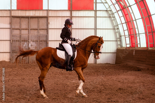 Dressage rider in motion in vibrant red arena © Vagengeim