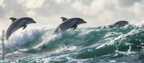 Two dolphins leaping out of the blue ocean water, splashing waves in their wake © Chasan