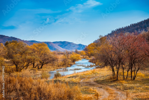 Autumn natural scenery of Aershan in Hulunbuir  Inner Mongolia  China