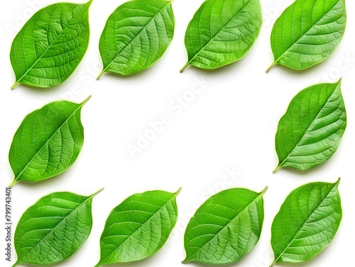 Serene Minimalist Background with Leaves, Perfect for Copy Space and Calm Concepts © C