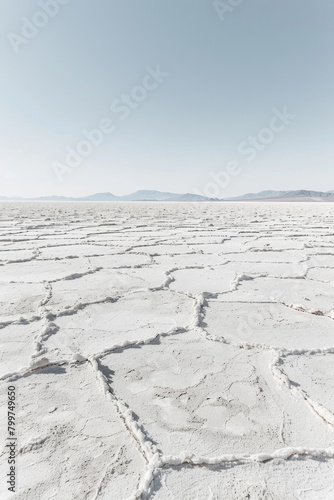 Vast expanse of salt flats  with their cracked and textured surface forming intricate patterns that stretch to the distant horizon