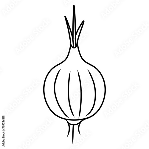onion garlic plant icon