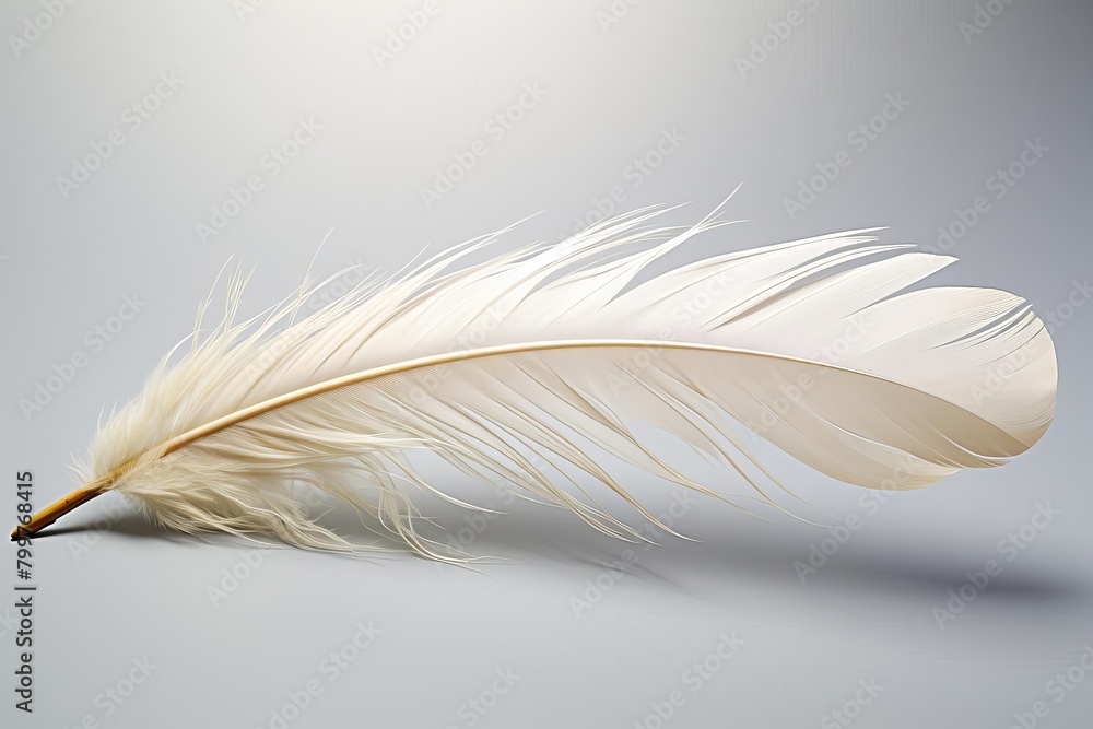 Obraz premium A white feather on a white background.