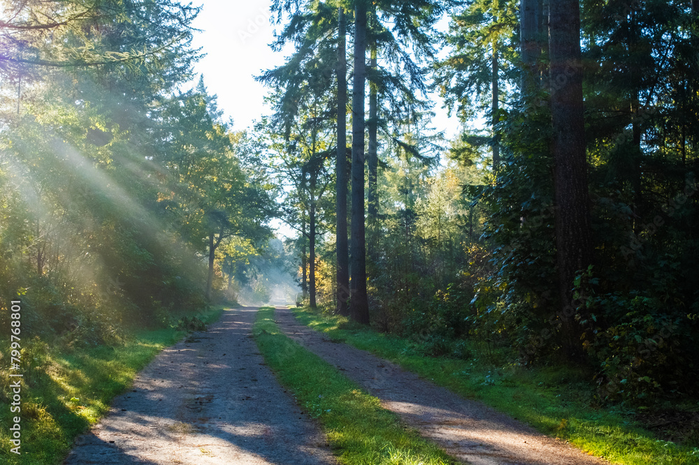 Fototapeta premium Den Treek Leusden, rays of light over the landscape