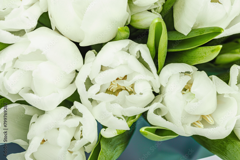 A bouquet of white tulips on a pastel green background. Blooming flowers, festive concept A bouquet of white tulips on a pastel green background. Blooming flowers, festive concept