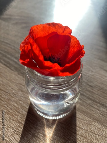 fleur de coquelicot en verrine