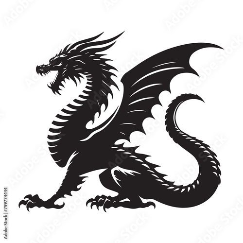 silhouette of a dragon on a white background