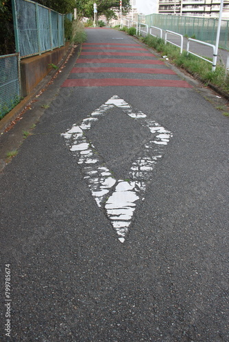 道路上の菱形マーク（前方に横断歩道または自転車横断帯あり）