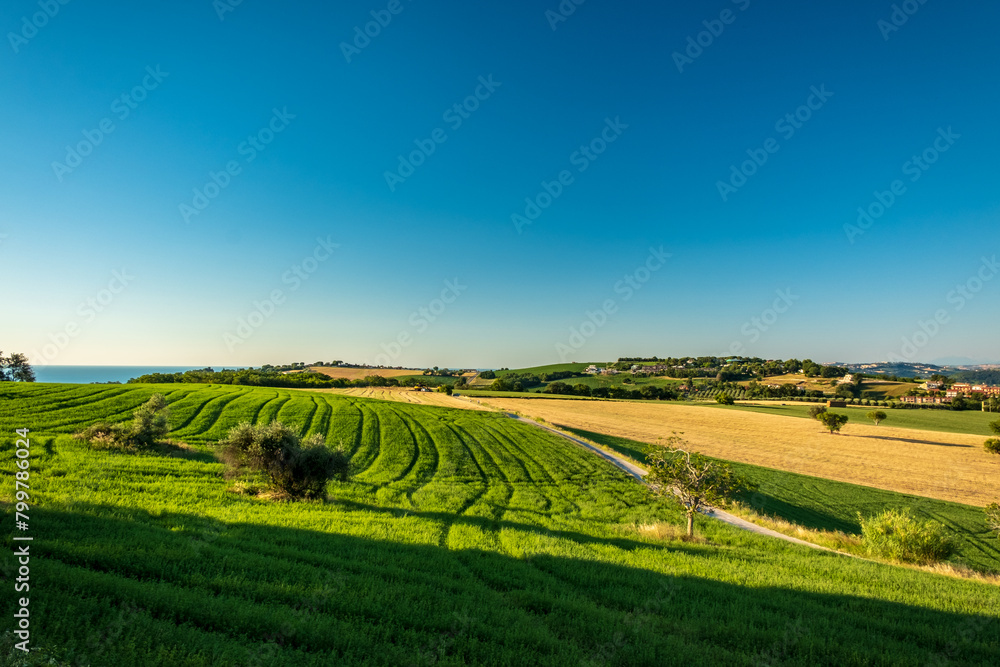 Beautiful sunrise in the countryside of Marche in a summer morning