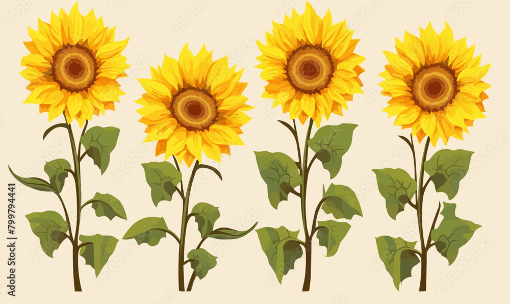 Obraz premium sunflowers vector flat minimalistic isolated vector style illustration