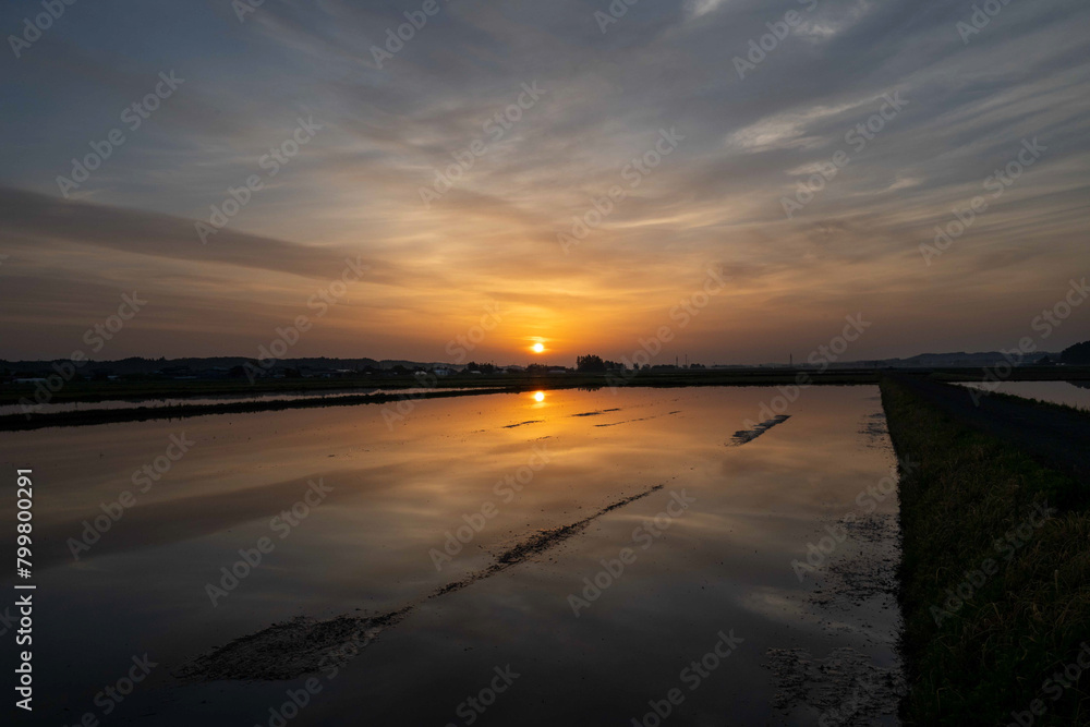 Fototapeta premium 田植え前の日の出