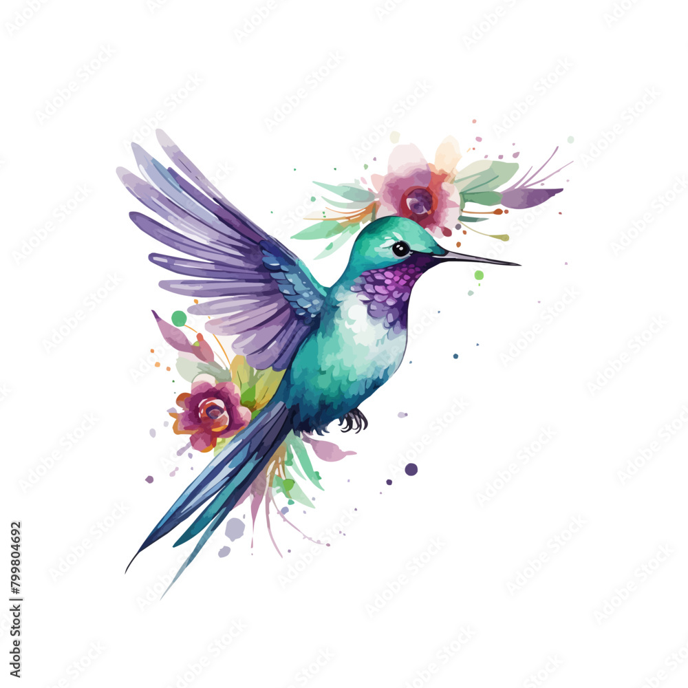Fototapeta premium watercolor Hummingbird clipart for graphic resources -