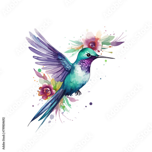 watercolor Hummingbird clipart for graphic resources -