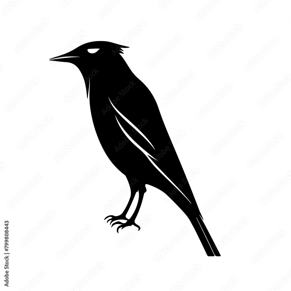 Obraz premium Animal silhouette icon black