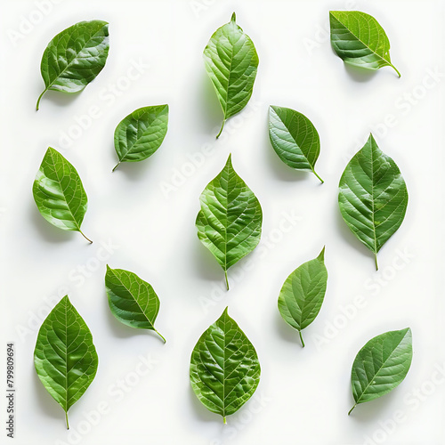 creative arrangement of green leaves on white surface © YOGI C