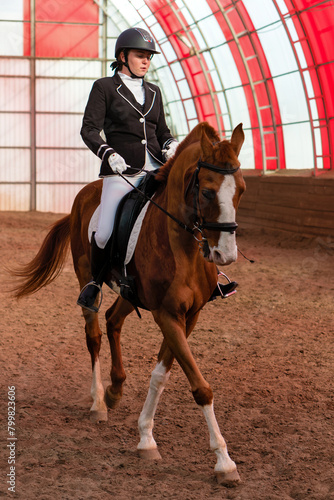 Dressed rider on horse in riding school (ID: 799823606)