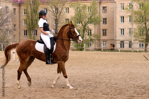 Dressage rider on horse in urban practice arena © Vagengeim