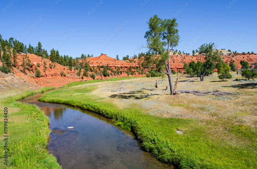 Obraz premium Devils Tower National Monument, Butte in Wyoming