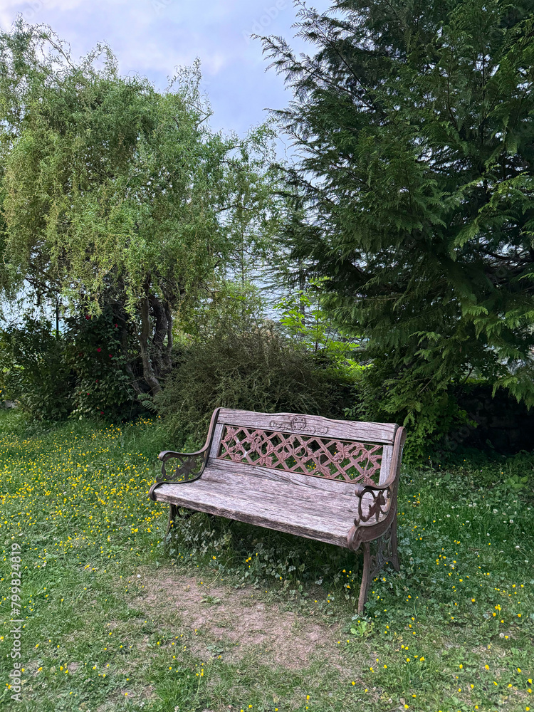 The old beautiful wooden bench stands near the trees in the park. The old beautiful wooden bench stands near the trees in the park.