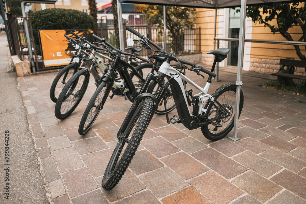 Pedal Power: Electric Bicycles Ready for Ride Pedal Power: Electric Bicycles Ready for Ride