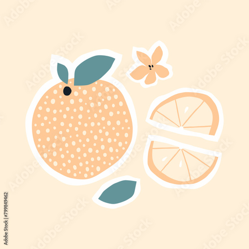 Orange and orange slice set.