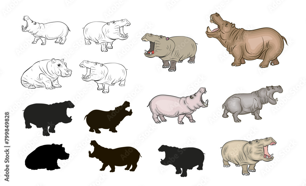 Fototapeta premium Color and black and white illustration of a hippo. An isolated vector object on a white background.