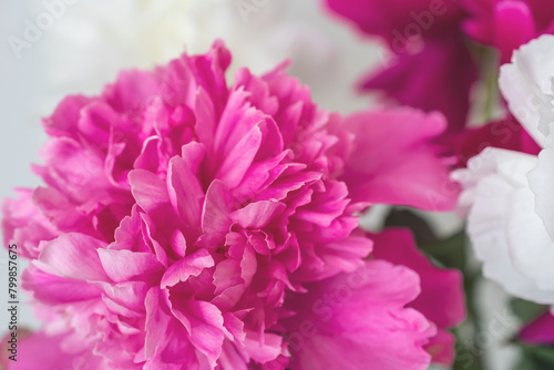 close-up photo of flowers white and pink peonies  