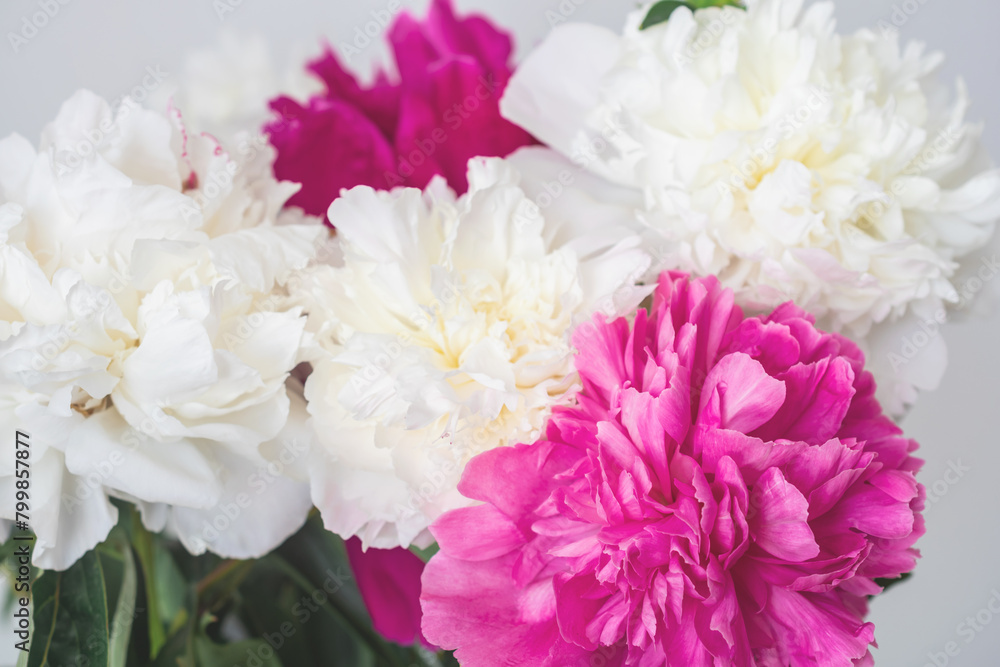 close-up photo of flowers white and pink peonies close-up photo of flowers white and pink peonies