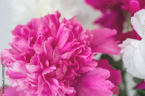 close-up photo of flowers white and pink peonies  