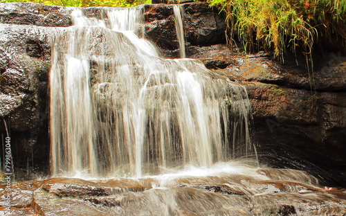 beautiful vattakanal waterfall on levinge stream  in a tropical rainforest on the foothills of palani mountains at kodaikanal in tamilnadu. india