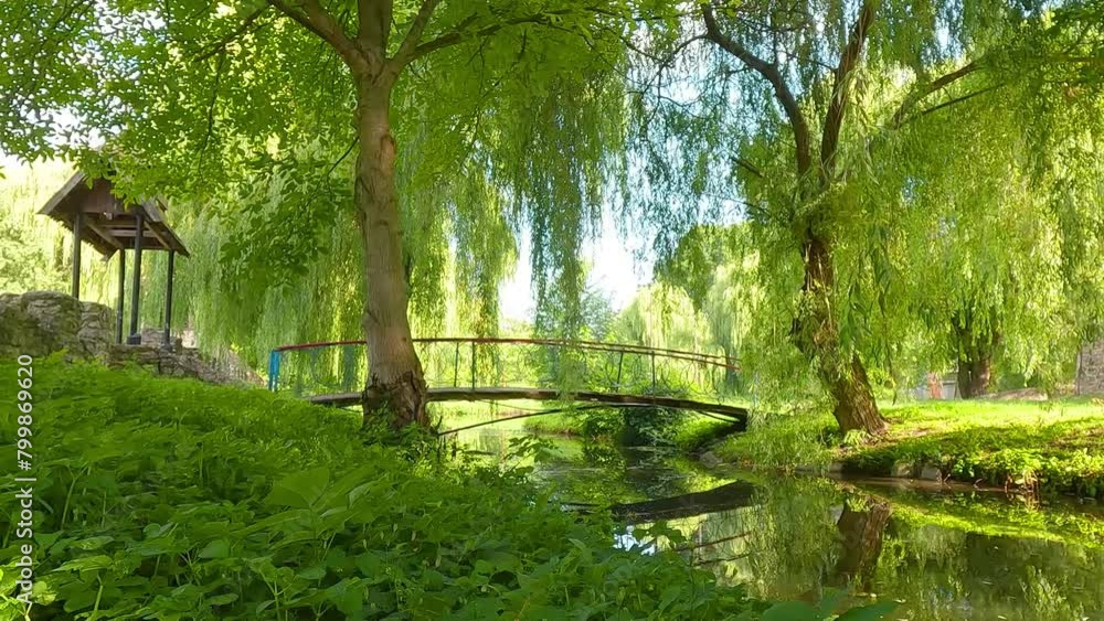 Foliage park on the shore of Seret river. Wonderful summer scene of Topilche Park in Ternopil city, Ukraine, Europe. Beauty of nature concept background. 4K video (Ultra High Definition). Foliage park on the shore of Seret river. Wonderful summer scene of Topilche Park in Ternopil city, Ukraine, Europe. Beauty of nature concept background. 4K video (Ultra High Definition).
