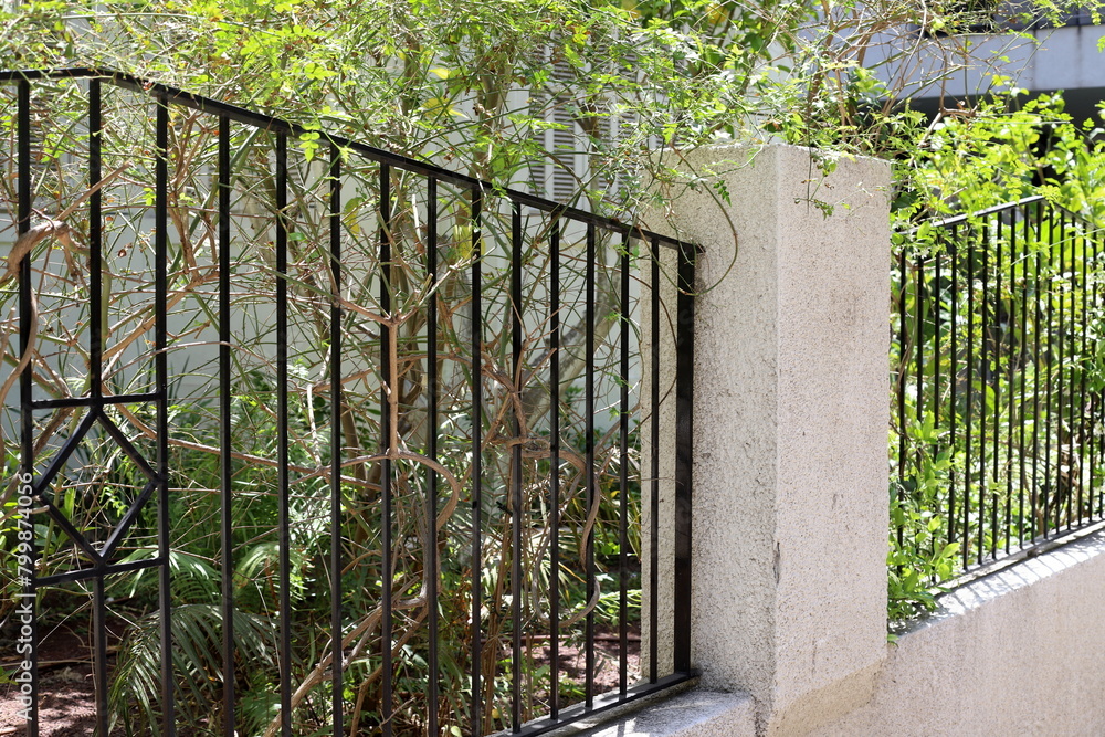 Green plants and flowers grow along a fence in a city park. Green plants and flowers grow along a fence in a city park.
