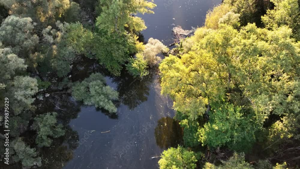 Aerial top down views of river and forest from above.. Flying over trees and river Aerial top down views of river and forest from above.. Flying over trees and river