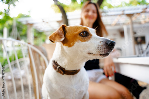 Jack Russel terrier with woman in back yard photo